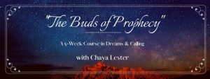 The Buds of Prophecy @ Online